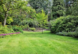 Optimiser l'expérience du jardin à Ponson-Dessus